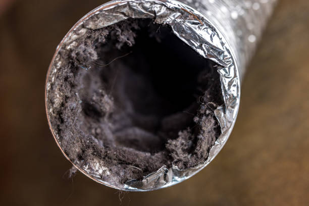 Best Professional Duct Cleaning Services  in Bensville, MD